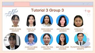 Tutorial 3 I Group 3 I Chapter 3 Important managerial issues