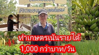 Truly incredible!! Turning barren fields into a daily income of 1,000-6,000 baht, becoming a mode... screenshot 5