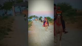 #trendig #viralvideo #Gameti🦁