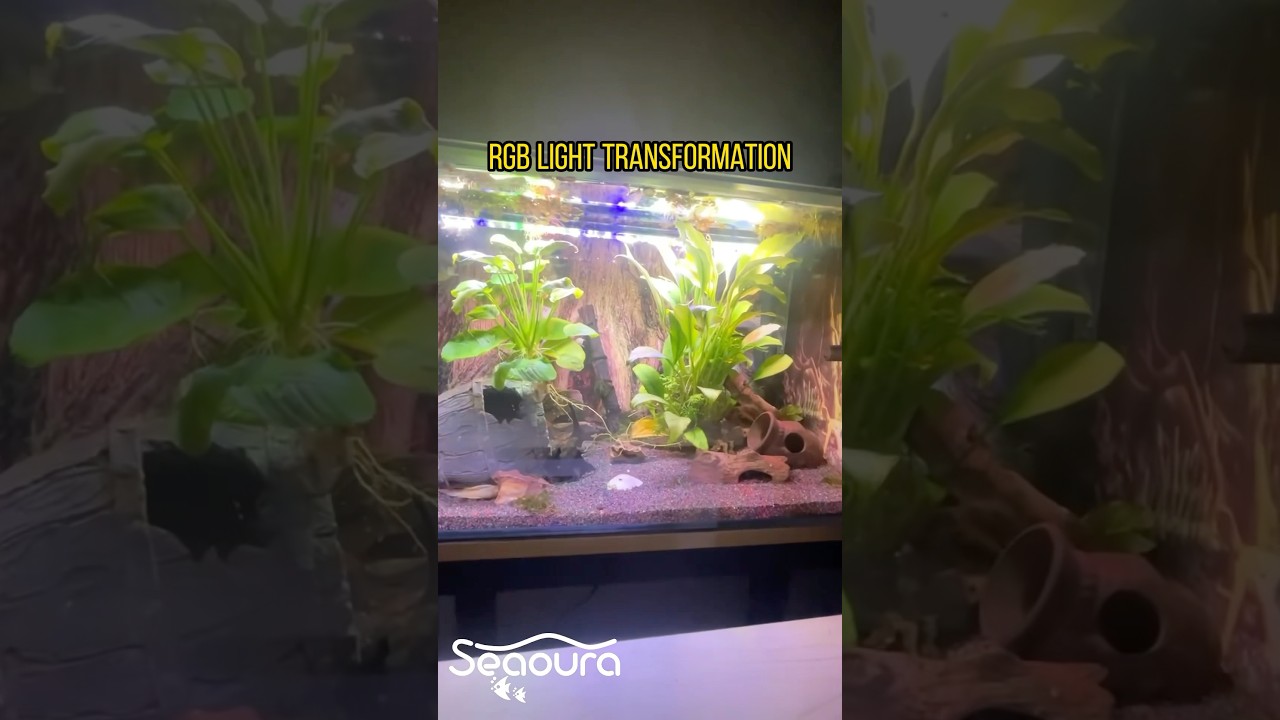 Submersible aquarium light