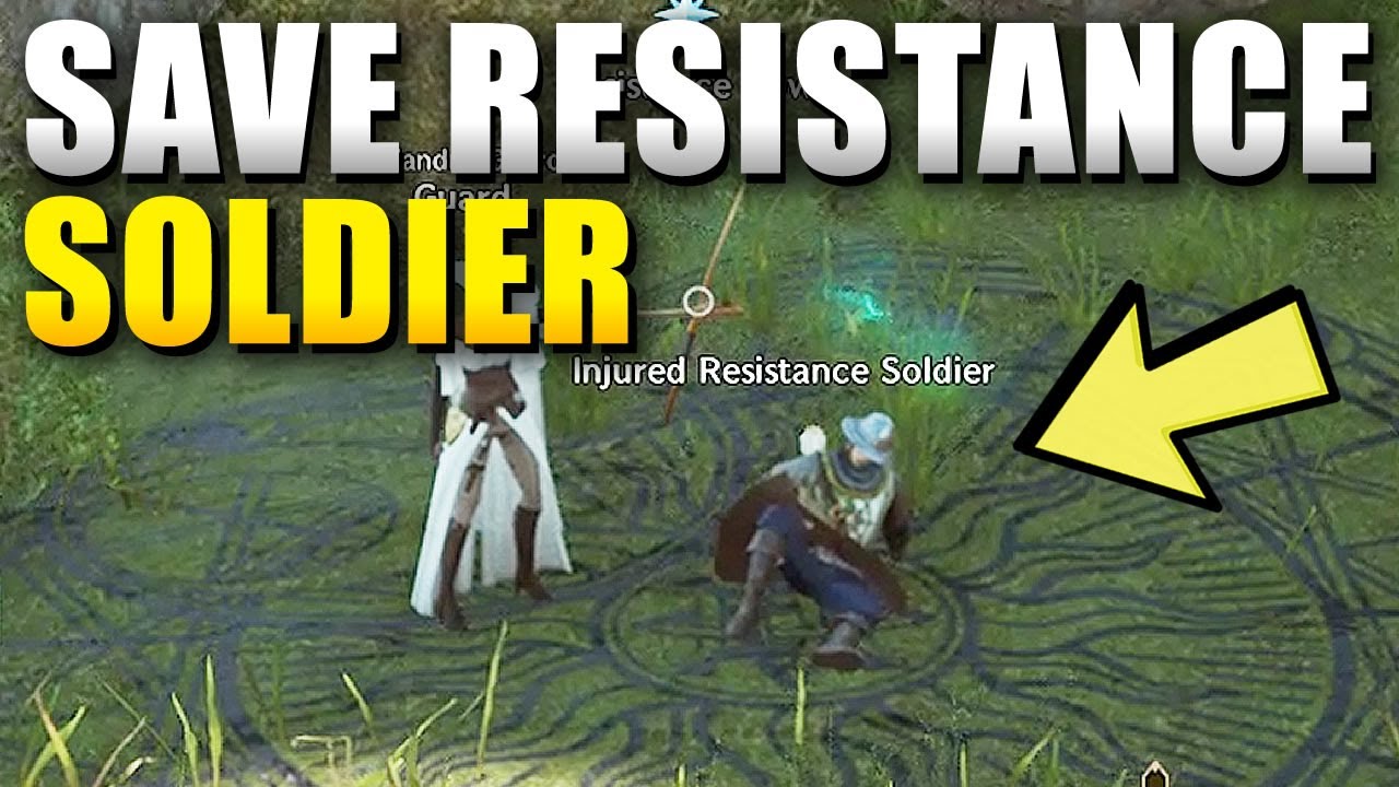 Throne and Liberty Save Resistance Soldier in danger and acquire Resistance Pouches
