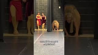 Which Dancer Are You: Focused, Confused, Silly? #dance #danceteam #fyp #tabuu