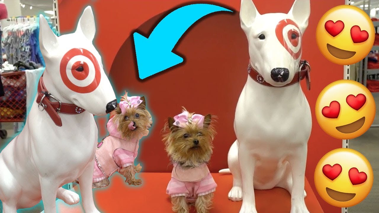 BOWBOW IS A PUPPY VLOGGER!! vlogs in spanish