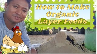 Famous How to Make Layer Feeds Net Worth