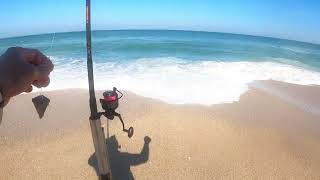 Gorgeous day at the beach Whiting is definitely biting.(2)
