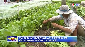 Cần Giuộc tập trung nguồn lực hỗ trợ nông dân ứng dụng công nghệ cao vào sản xuất | LONG AN TV