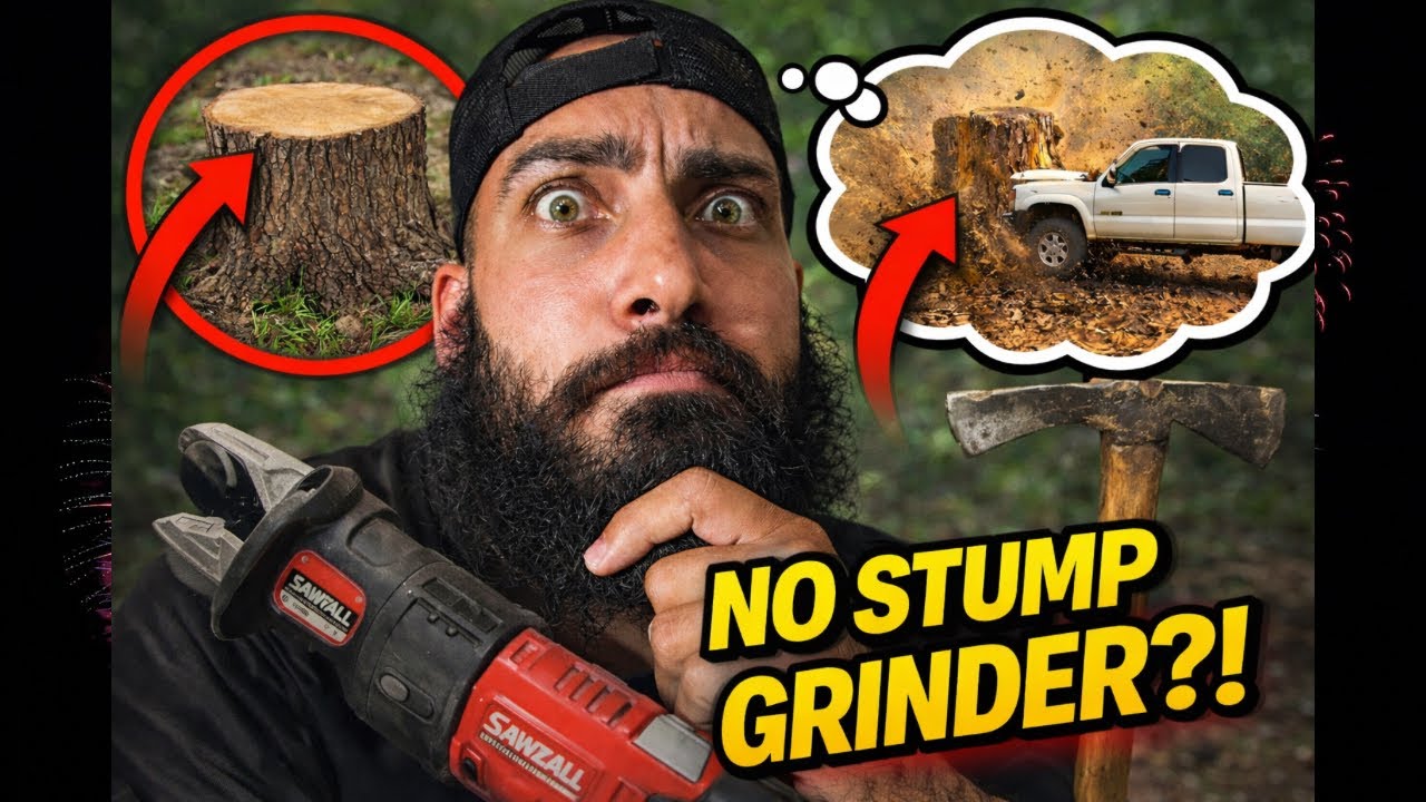 How can I Remove a Tree Stump DIY - YouTube
