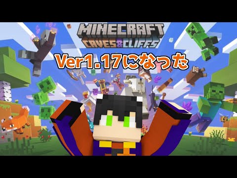 【マイクラ】1.17になった！【Live17】