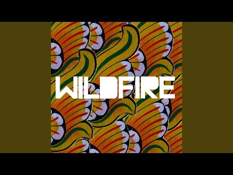 Wildfire (OVO Remix)