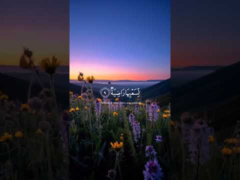 اكتب شئ تؤجر عليه 🎧❤️