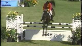 SHOWJUMPING: Thoroughbred Domination!!