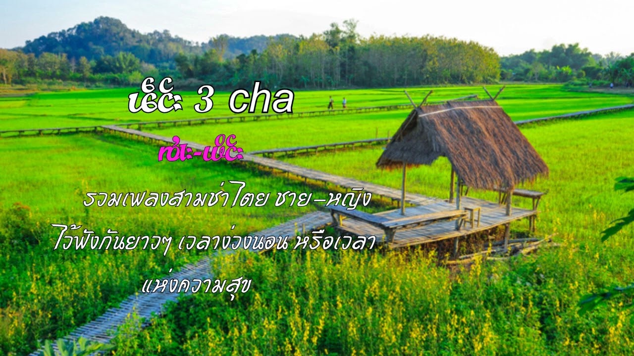 รวมเพลงไตยสามช่า ชาย-หญิง#ฟังกันยาวๆ ในช่วงเวลาแห่งความสุข#จายเมืองคำ#เพลงใหม่ 2025 [ Audio Song]