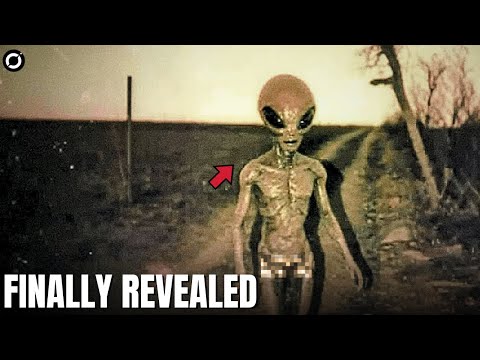 Classified Alien Species Finally Exposed I Real Encounters with Aliens