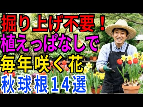 専門家が警告！庭に植えてはいけない侵略的球根5種