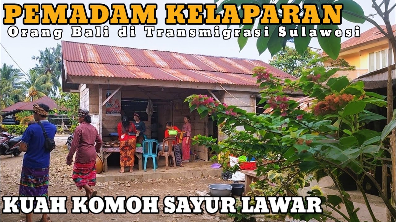 ENAK NYA... LAWAR KUAH KOMOH ORANG BALI, Pemadam Kelaparan Warga Hindu di Transmigrasi Sulawesi