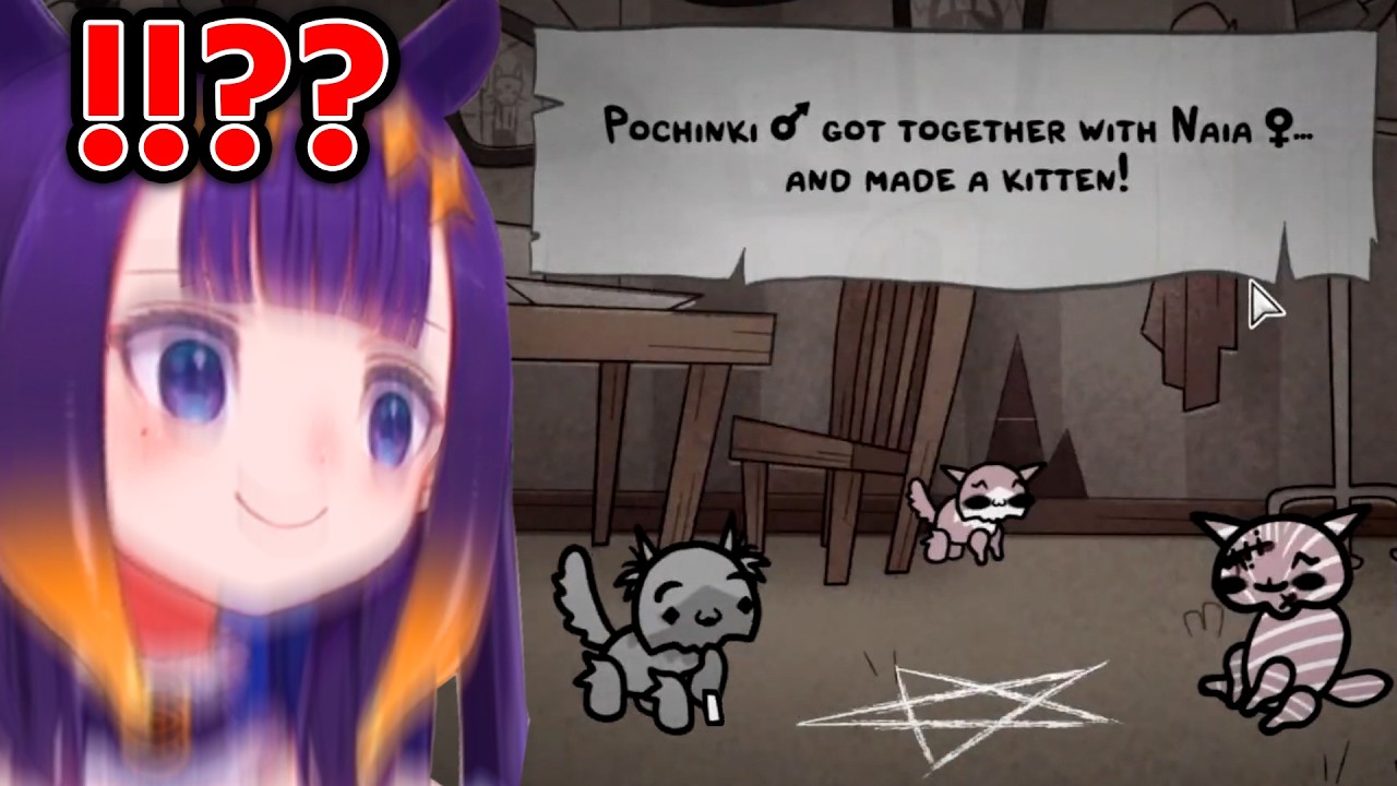 𝗜𝗻𝗮 𝗳𝗶𝗻𝗮𝗹𝗹𝘆 𝘀𝗮𝘄 𝗵𝗼𝘄 𝗰𝗮𝘁𝘀 𝗮𝗿𝗲 𝗺𝗮𝗱𝗲 𝗶𝗻 𝗿𝗲𝗮𝗹 𝗹𝗶𝗳𝗲, 𝗰𝗮𝗻'𝘁 𝗰𝗼𝗻𝗳𝗶𝗿𝗺 𝘁𝗵𝗼