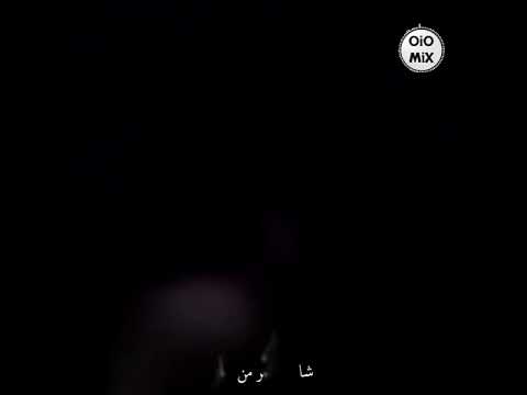 الشكل الحلو علاء زلزلى