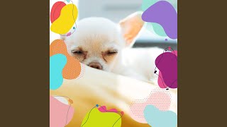 Background for Resting Pets