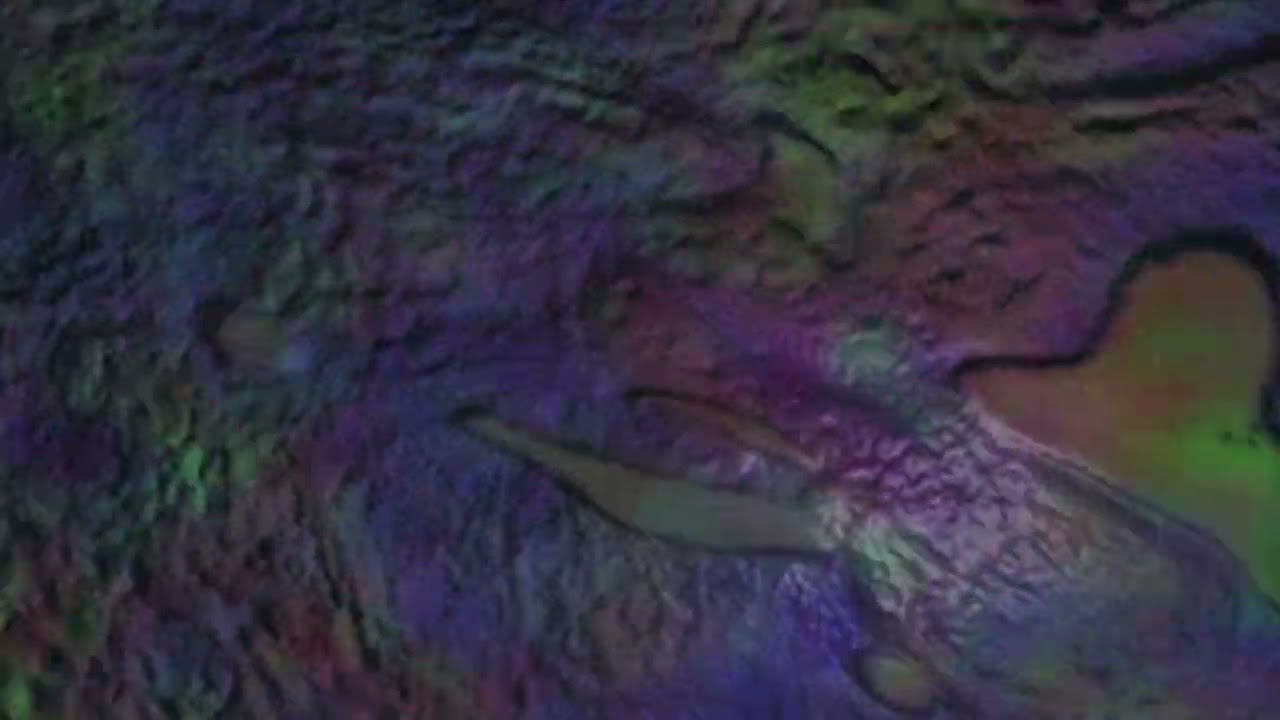 Folding the Hands of Time