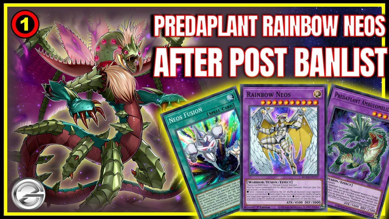 Post-Banlist Predaplant Rainbow Neos Deck – Still Strong OTK Fusion? | Duel Links