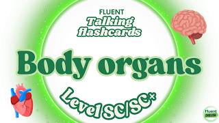 Talking Flashcards: Body Organs | ESL Level SC/SC+ | Fluent Academy