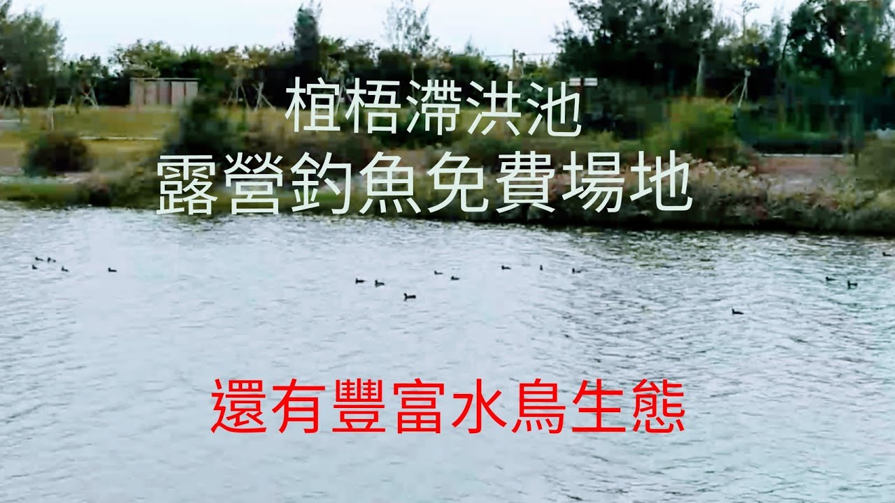 椬梧滯洪池免費露營釣魚場地介紹。（第十九集）
