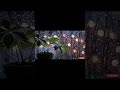 full video👉https://youtu.be/xSBJlFau2Fc #relaxation ##peacefulwaves#natureasmr#rain#rainoundforsleep
