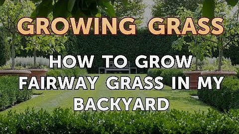 How to Grow Fairway Grass in My Backyard