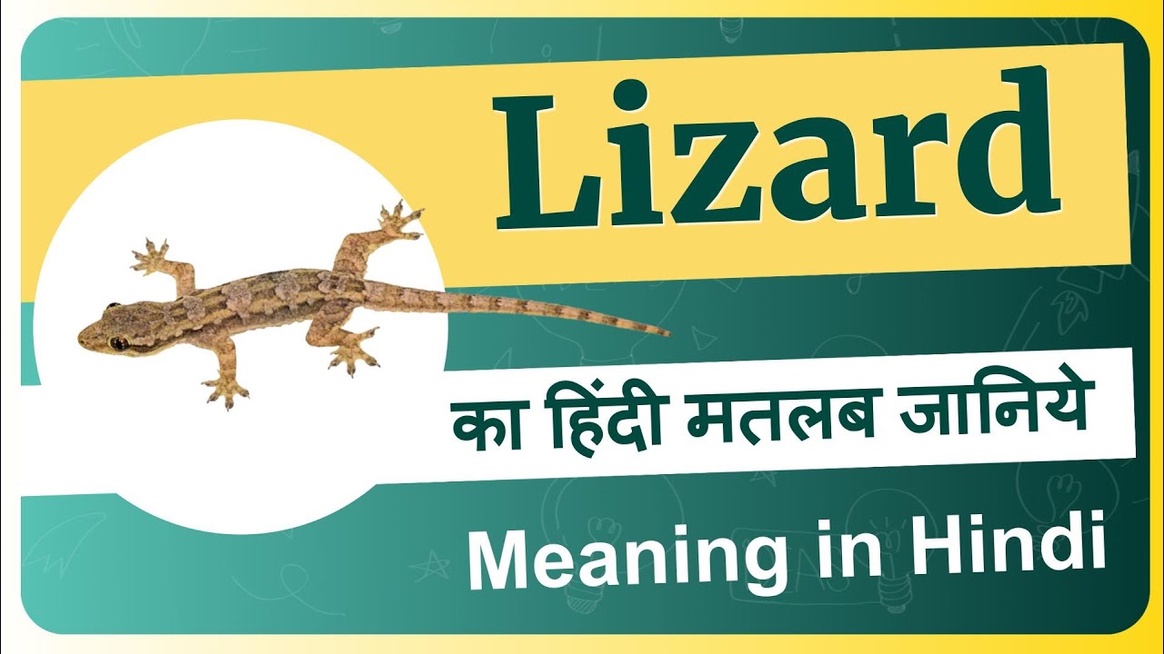 Lizard meaning in Hindi | Lizard ka matlab kya hota hai | Lizard means ...