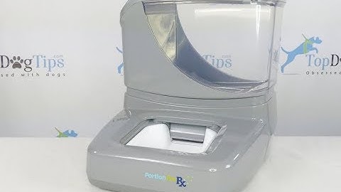 Portion Pro Rx Automatic Pet Feeder Review