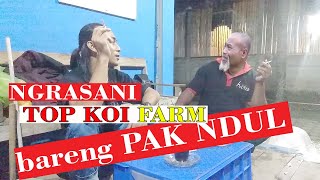 PAK NDUL KAWE - NGRASANI TOP KOI FARM