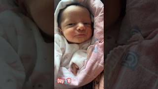 10th day?Rigved  kajini swiss switzerland newborn newbornbaby newbornphotography postpartum