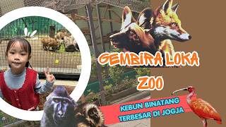 GEMBIRA LOKA ZOO YOGYAKARTA‼️ KEBUN BINATANG TERBESAR | REKOMENDASI WISATA KELUARGA DI JOGJA 2026‼️