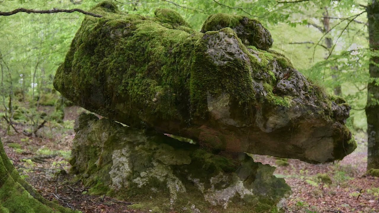 Urbasa eta Andia Nafarroako Parque Naturalak