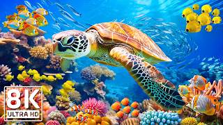 Amazing 8K Ocean Adventure 🐳 Dive Deep and Marvel at Sea Animal in The Best 8K ULTRA HD Aquarium #19
