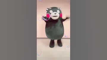 Thumbnail of ウワワウワ〜♪くまモンもパジャマパーティーズにい〜れて！！ #くまモン #kumamon #熊本県 #熊本熊 #ちいかわ #パジャマパーティーズ #パジャマパーティーズのうた #日向坂