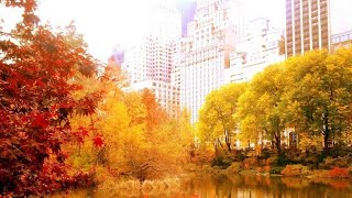 Autumn in New York