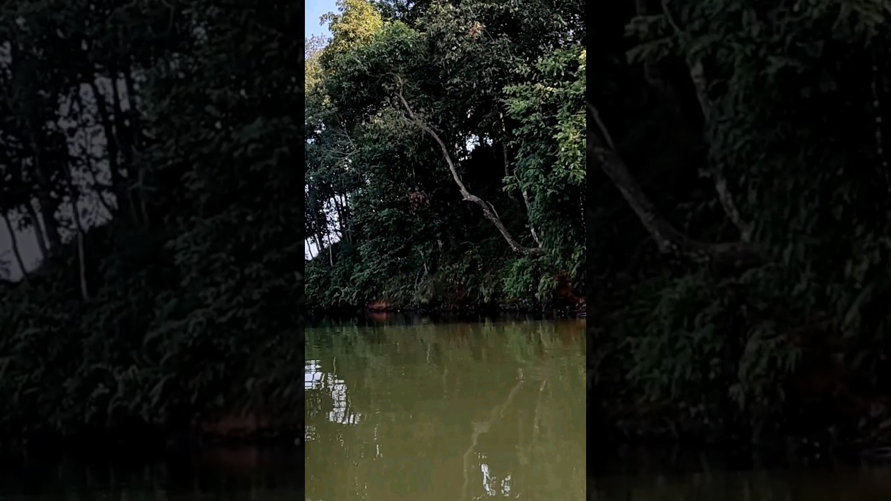 Begnas Taal (Begnas Lake pokhara)
