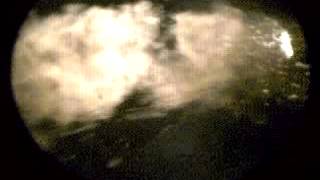 Spray flame image of neat biodiesel fuel