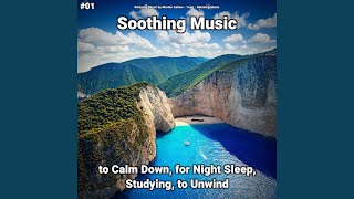 Soft Music screenshot 5