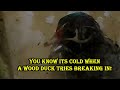 2021 Spring Snow Goose Hunt Report - Wood Duck In A Blizzards - February 15, 2021