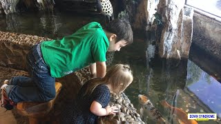 Ellie Loves Fish - Down Syndrome Awareness