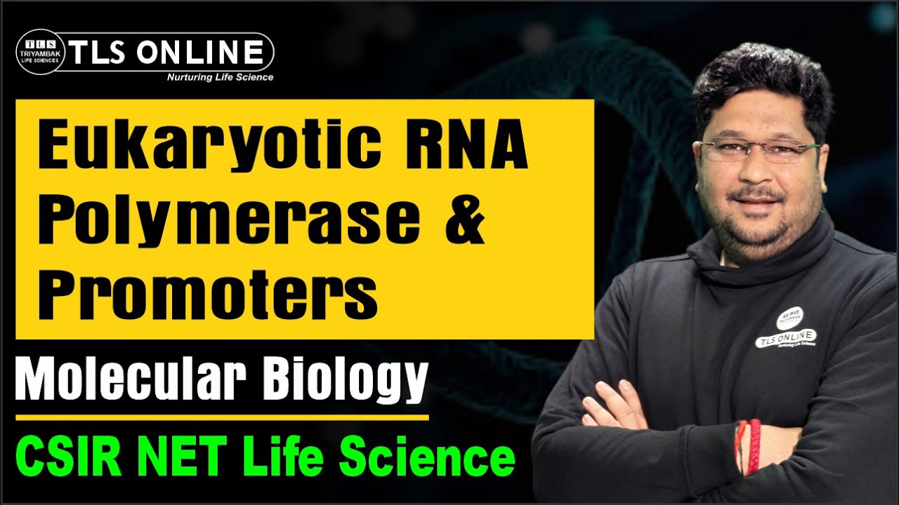 Eukaryotic RNA Polymerase & Promoters | Molecular Biology I CSIR NET Life Sciences I Ashish Kr Dwive