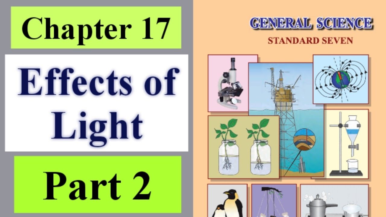 effects of light class 7 #part 2 - YouTube