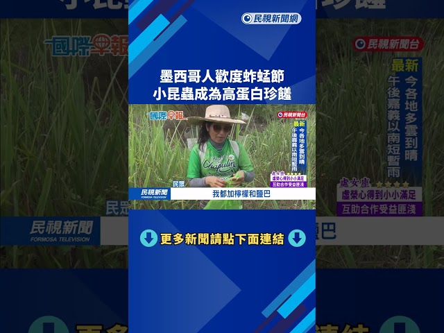 墨西哥人歡度蚱蜢節　小昆蟲成為高蛋白珍饈－民視新聞