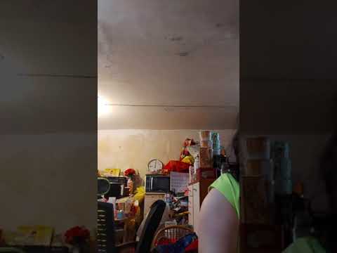 我的驕傲(容祖兒)