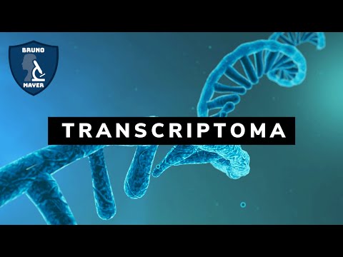 Vídeo: FRAMA: De Dados De RNA-seq A Conjuntos De MRNA Anotados