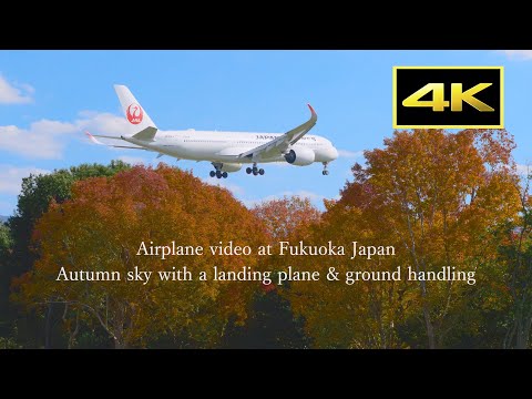 4K] Plane spooting at Fukuoka Airport on November 22, 2025 / 福岡