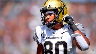 Vanderbilt TE Jared Pinkney Highlights ⚓️ ᴴᴰ