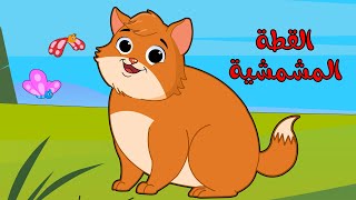 اغنية القطه المشمشيه حلوه بس شقيه | اغاني اطفال عالم لولو